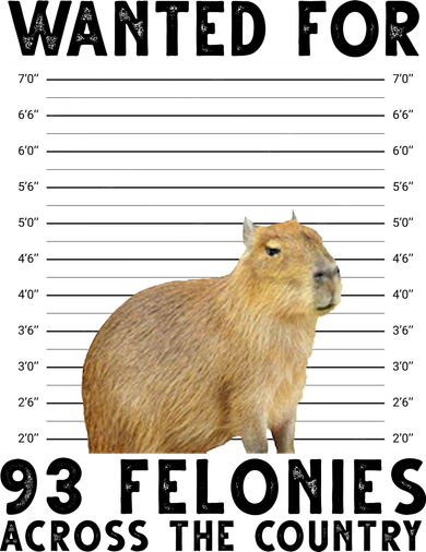 Capybara Mugshot Wanted For 93 Felonies Across The Country Kids T-Shirt