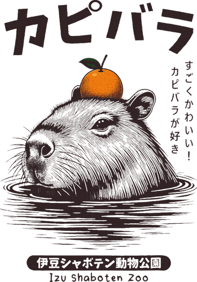 Capybara Onsen Capybara With Orange Capybara Lovers Coaster
