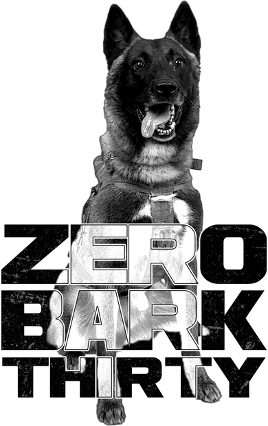 Zero Bark Thirty Conan the Hero Dog Button
