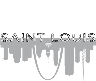City of St Louis Missouri Skyline Art Gateway Arch Graphic Kids Long Sleeve Shirt