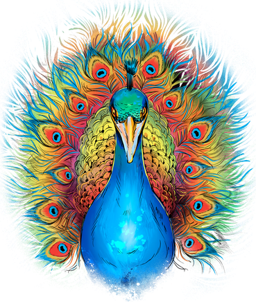Colorful Peacock Art Hat