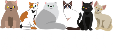 Cats Are Like Potato Chips Kids Hoodie
