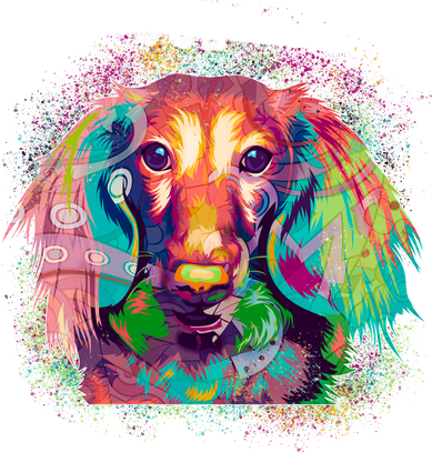 Colorful Pattern Dachshund Dog Kids Long Sleeve Shirt