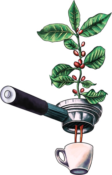 Coffee Plant Espresso Barista Bucket Hat