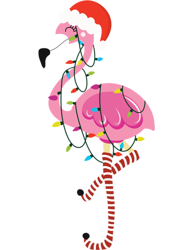 Cute Pink Flamingo Christmas Lights Santa Hat Meaningful Gift Women's Hoodie