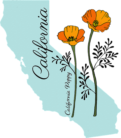 California Poppy Flower Button
