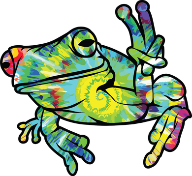 Cool Peace Frog Tie Dye Toddler Hoodie