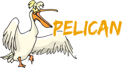 Crazy Pelican Lady Fnny Pelican Lover Gift National Bird Day Gift Women's Long Sleeve Shirt