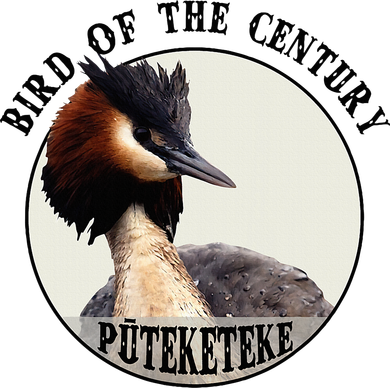 Cute Puteketeke New Zealand's Bird of the Century Flower  Santa Hat