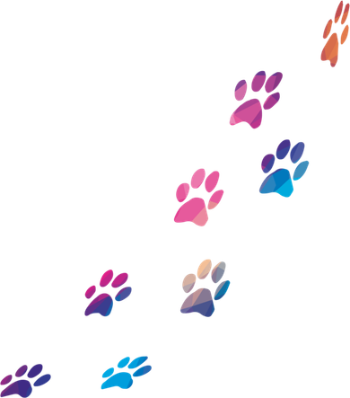 Colorful Paws Of Dog Or Cat For Animal Lovers Cute Gift Baby Bodysuit