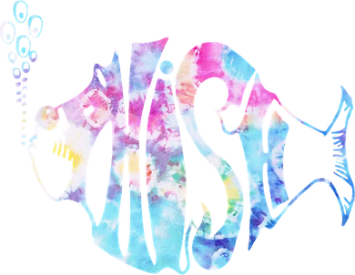 Colorful Phishjam Tiedye For Fisherman Fish Magnet