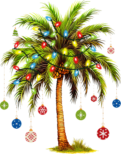 Christmas Palm Tree Light Hawaiian Tropical Xmas Women's Hoodie
