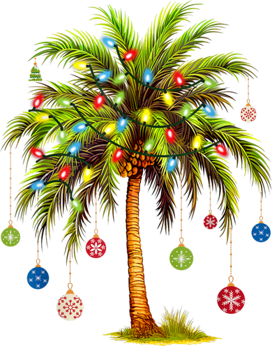 Christmas Palm Tree Light Hawaiian Tropical Xmas Women's Sweatshirt
