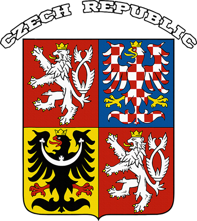 Czech Republic Coat Of Arms Flag Souvenir Prague Kids T-Shirt