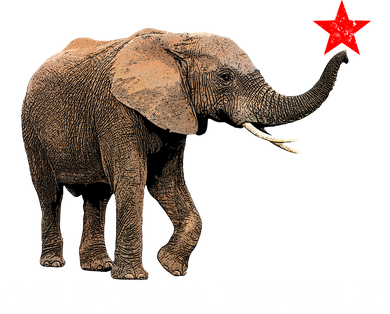 California Republic Elephant  Backpack
