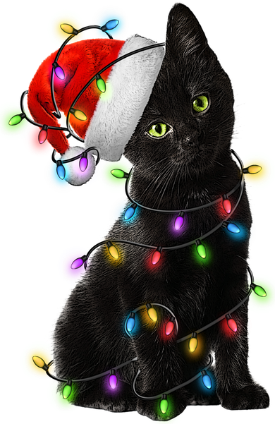Christmas Lights Santa Kitty Kids T-Shirt