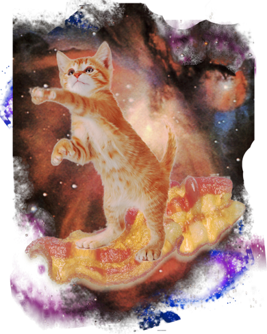 Cat Surfing Bacon In Space Button