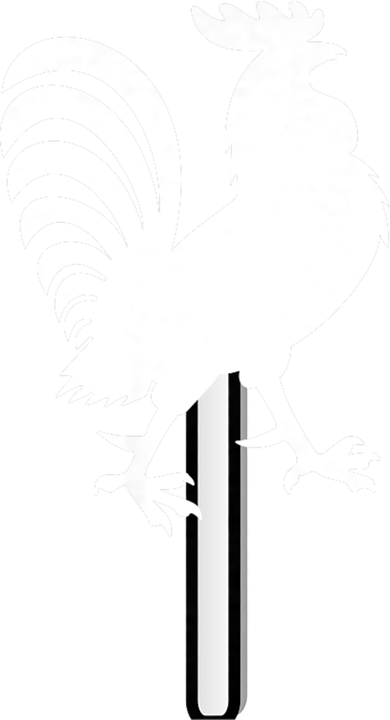 Cock Sucker Button