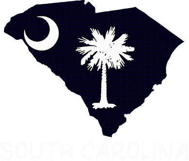 Cool South Carolina State Kids T-Shirt