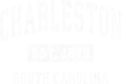 Charleston South Carolina Sc Vintage Established Sports Kids T-Shirt