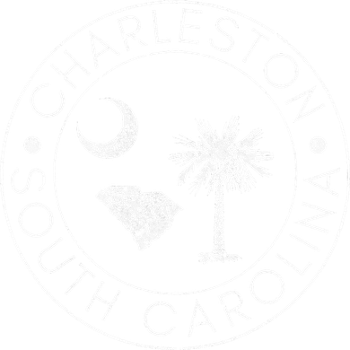 Charleston South Carolina Flag State Map Sc Home Vintage Hoodie