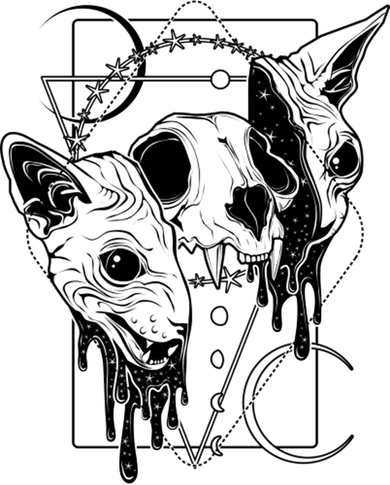 Cosmic Sphynx Kids T-Shirt