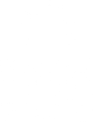 Cyber Security Button