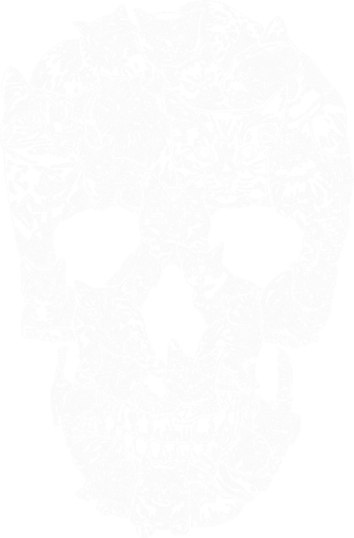 Cat Skull Doddie Hoodie