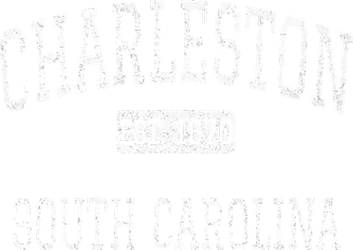 Charleston South Carolina SC Vintage Toddler Hoodie