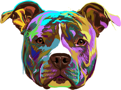 Colourful Splash Dog American Staffordshire Terrier Gift Kids Sweatshirt
