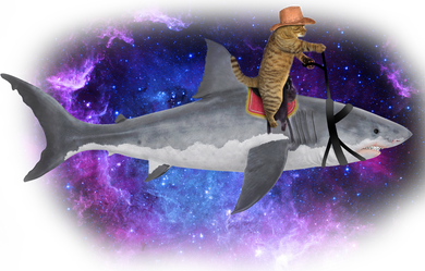 Galaxy Cat Riding Shark Women's Hoodie