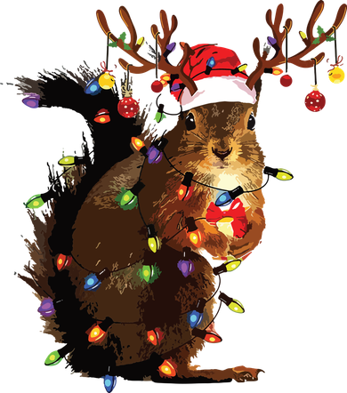 Christmas Squirrel Lights Toddler Hoodie
