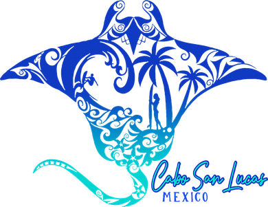 Cabo San Lucas Sea Stingray Mexico Matching Family Sweatshirt
