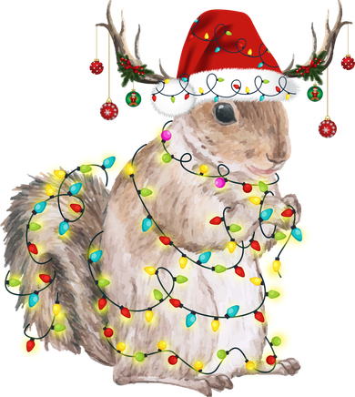 Christmas Squirrel Lights Kids Hoodie