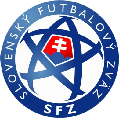 Cool Slovakia National Football Soccer Team Art Logo Hat