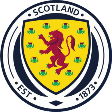 Cool Scotland National Soccer Team Kids Hoodie