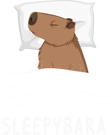 Capybara Sleepybara Sleep Capybara Coaster
