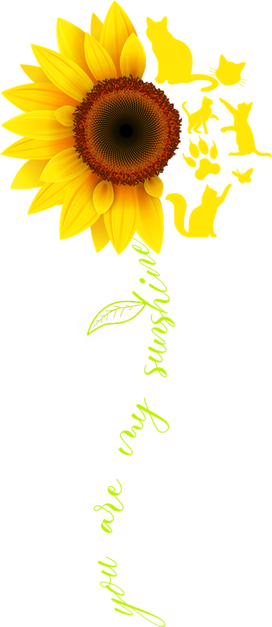 Cat Sunflower Sunshine Hat