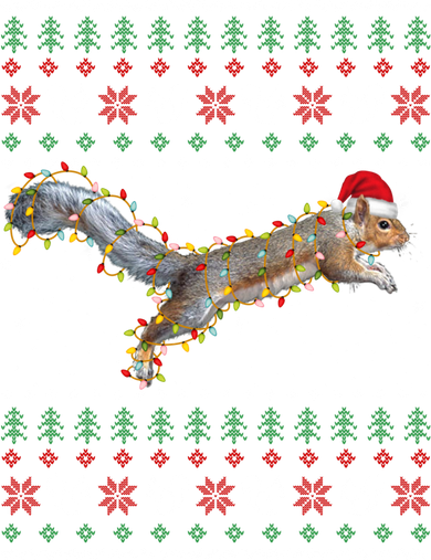 Cute Squirrel Santa's Hat Ugly Christmas Sweater Tee Xmas Gift Women's Long Sleeve Shirt