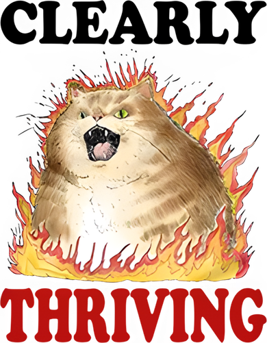 Clearly Thriving Cat Flame Funny Gift Santa Hat