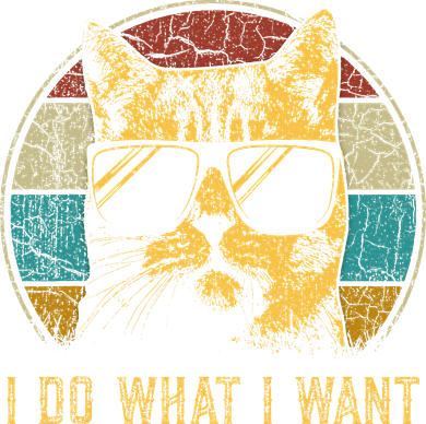 Cat Themed Funny I Do What I Want Cat Women's Hoodie