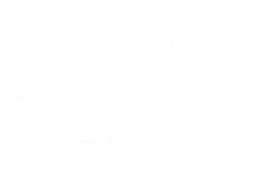 The F***ing Catalina Wine Mixer Toddler Hoodie