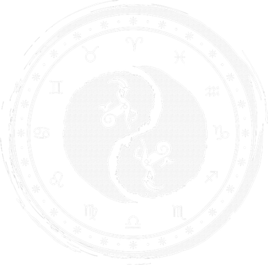 Capricorn Tenth Zodiac Sign Yin Yang Funny Bucket Hat