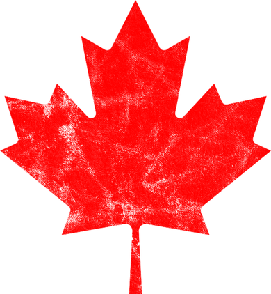 Canada Vintage Leaf Beanie