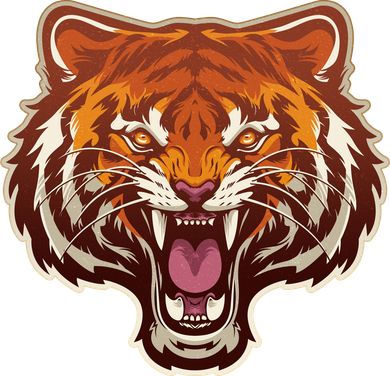 Cool Vintage Roaring Growling Bengal Tiger Kids Hoodie