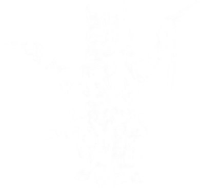 Stencil Graffiti Cat Armed With Guns Women's T-Shirt