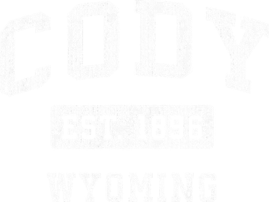 Cody Wyoming Wy Vintage Established Sports Toddler Hoodie