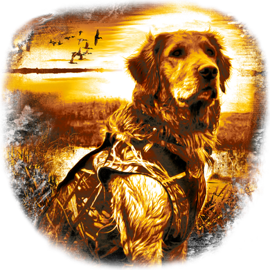 Golden Hunter Retriever Dog Apron