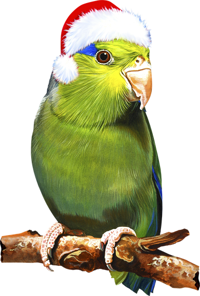 Christmas Bird Parrot Pajama Set