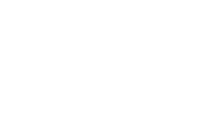 DeSantis Airlines Bringing The Border To You Funny Women's Sweatshirt